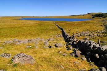 Profitez de l’Aubrac