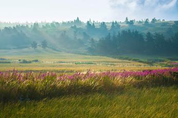 Les Causses et l’Aubrac en Lozère