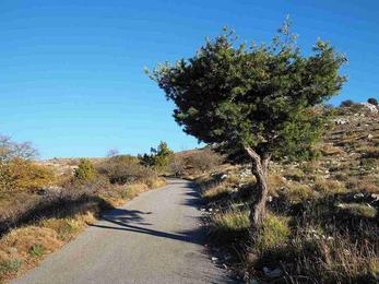 Locations de vacances à la campagne dans les Alpes-Maritimes