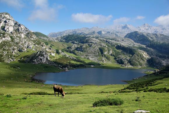 Parc des Pyrénées
