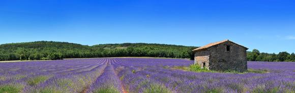 La Provence