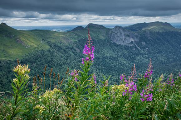 Vacances au puy Mary
